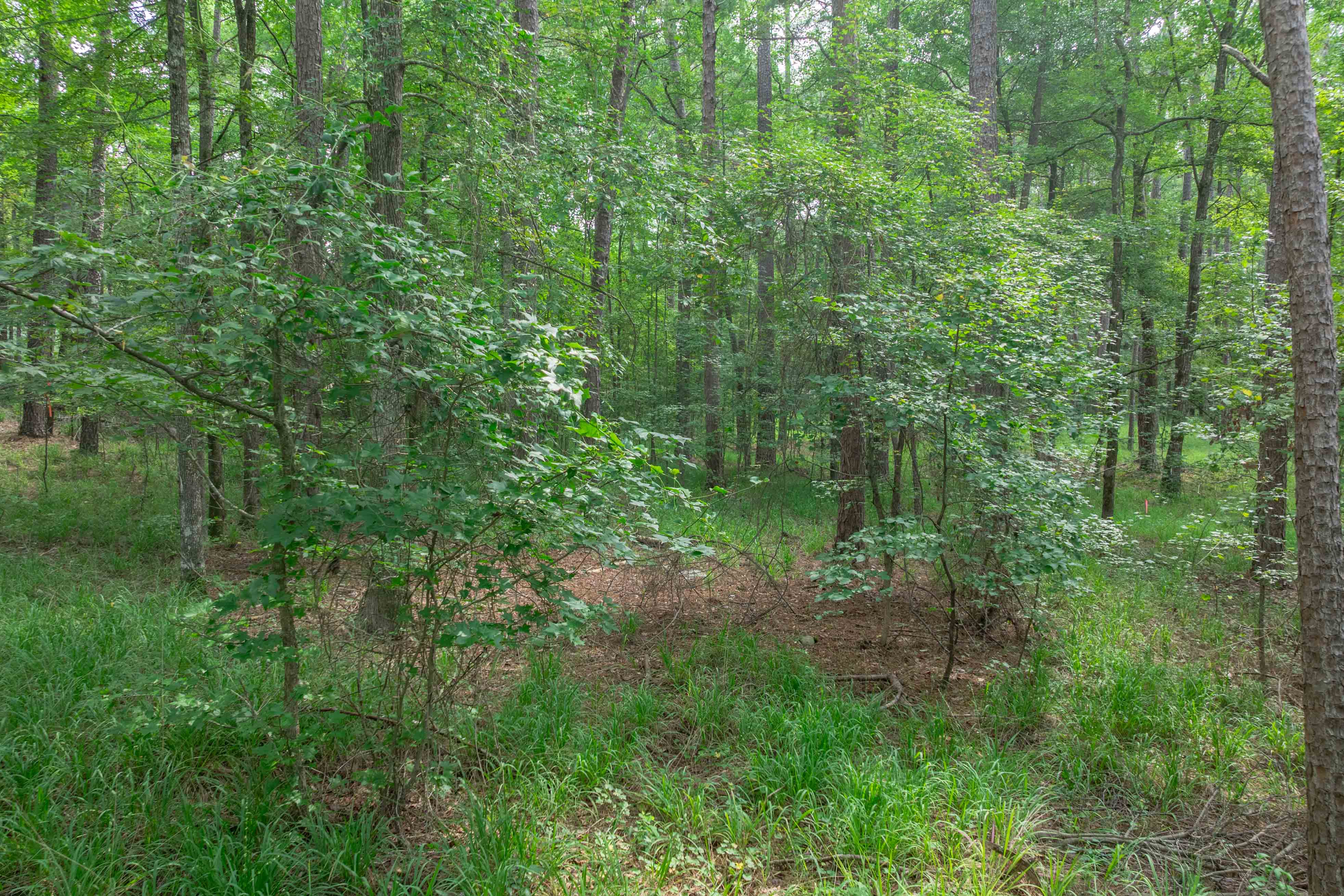 1040 Centennial Post Road image 4